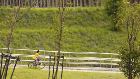 宋妍菲 - 小短片製作、剪輯