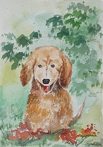 Erica - 手繪-水彩-狗