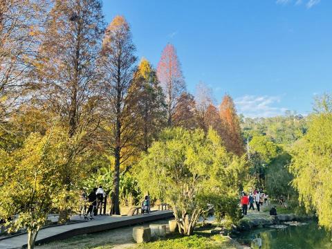 小林輕旅行 - 不管是落雨松