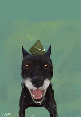 林妍歆 - 端午節快樂～我家的狗狗