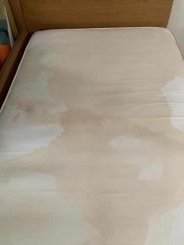 蟎-MAN 洗床墊洗沙發 - 