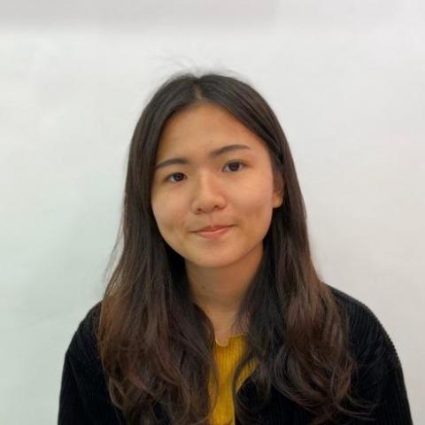 提供erpsap分別服務的專家鄭晴方