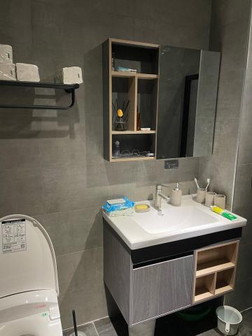 水電工程 - 浴櫃馬桶安裝