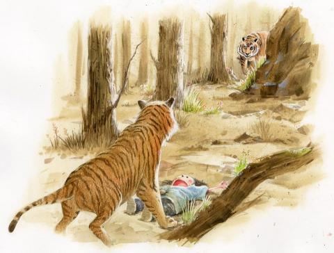 陳小毛手繪 - 書籍報紙插畫