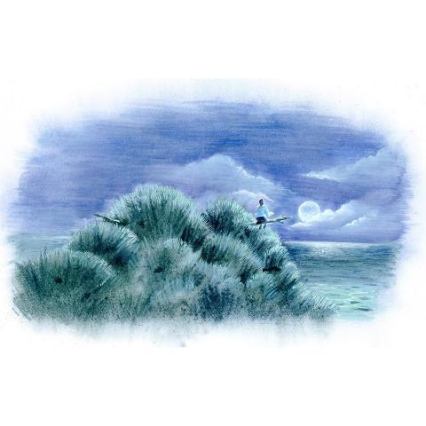 陳小毛手繪 - 書籍報紙插畫