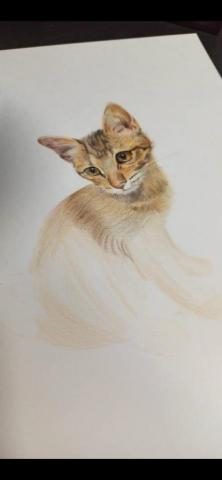 小恆星 - 油性色鉛筆過程 小恆星 - 油性色鉛筆過程