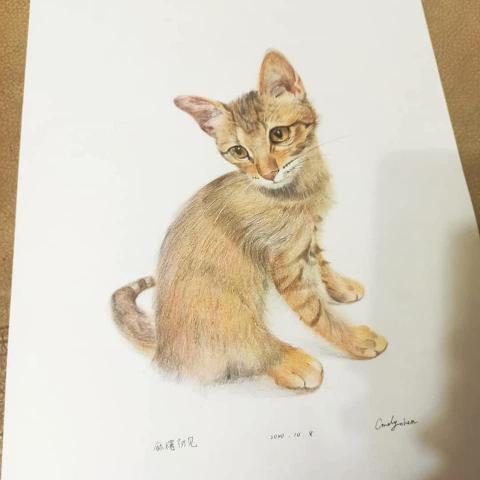 小恆星 - 油性色鉛筆完整圖(已售給藏家價格7000) 小恆星 - 油性色鉛筆完整圖(已售給藏家價格7000)