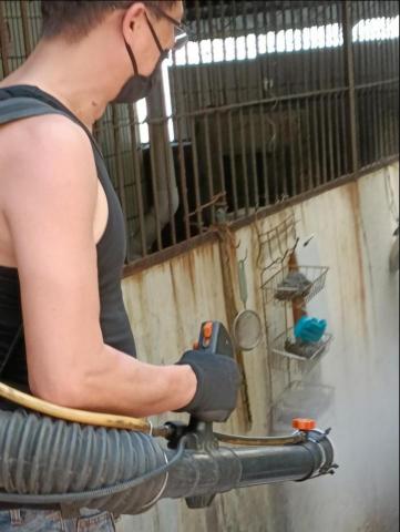 大夥清潔 - 消毒