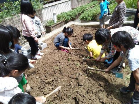 吳明娟（國民小學教師證） - 小田園（食農教育）