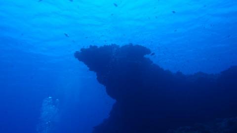 彭昊昱 - 雞仔礁