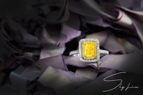 劉曉天當代影像(天象有限公司) - 珠寶攝影 劉曉天當代影像(天象有限公司) - 珠寶攝影