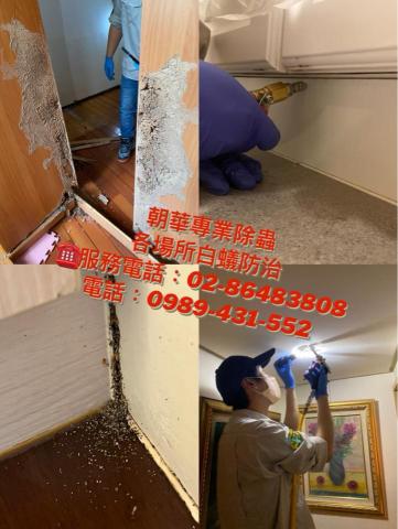 海呈有限公司 - 白蟻防治