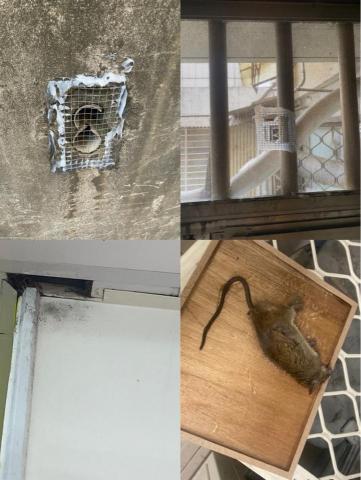 海呈有限公司 - 滅鼠封堵