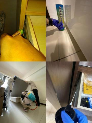 海呈有限公司 - 蟑螂跳蚤防治