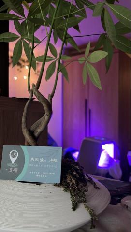 貓流剪輯 - @Thisplace_studio形象照