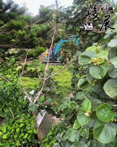 峻展工程行 -  峻展工程行 -