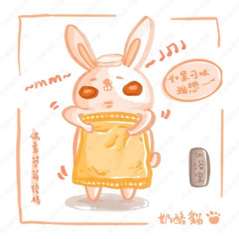 奶酪貓 - 動物類型 Q版手繪風