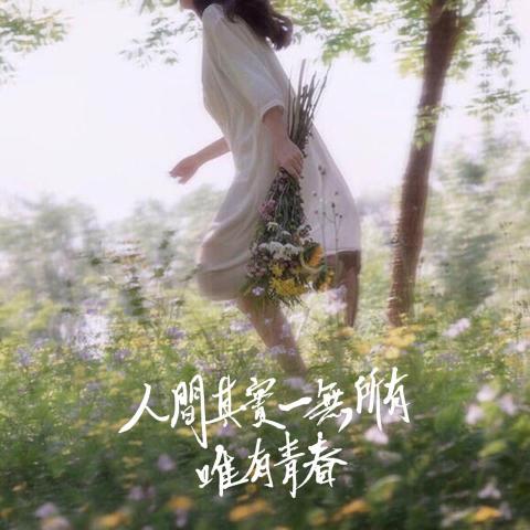 貓流剪輯 - IG貼文