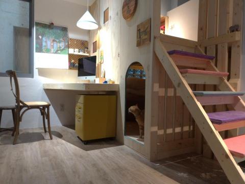 涂家源 - 小孩房秘密空間與上鋪設計製作。
每個人都需要有能與自己相處的空間；此案採用SPF木材搭配樺木夾板，組合成輕質強壯的結構，搭配格柵的間隙，讓孩子獨處時也能被注意到，平實的木材儘管讓孩子動手裝飾後也能打磨或是油漆更新表面。
※通常完工會先被毛孩子佔領，若有介意需業主配合防護。