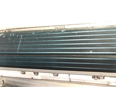 蕭宇傑 - 清洗後