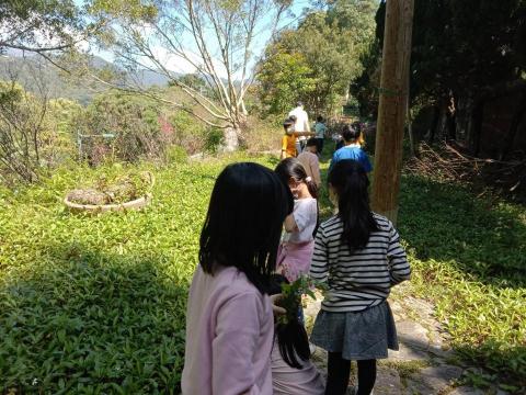 余小姐 - 認識植物