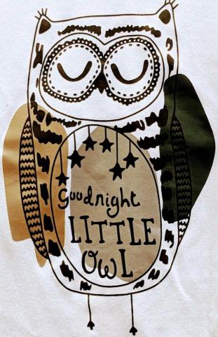 貓頭鷹的療心室 - 