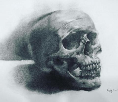 Hardy Art - 碳筆素描作品