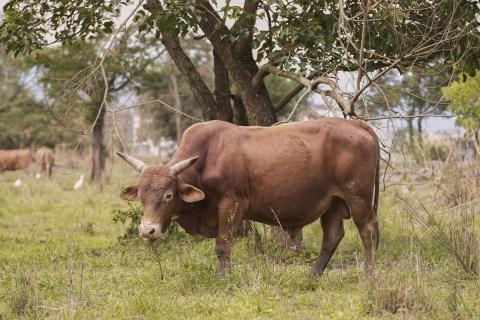 王品璇 - 畢業攝影作品