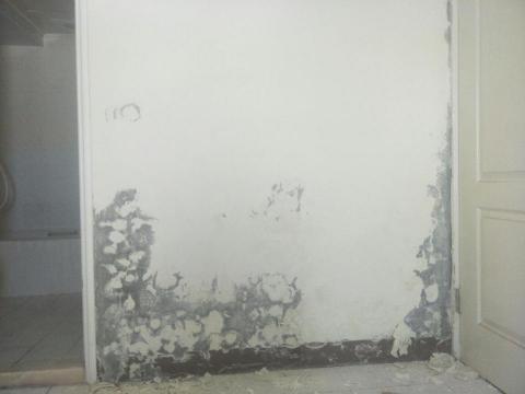 鴻升工程 - 岡山區新樂街防水粉刷 鴻升工程 - 岡山區新樂街防水粉刷