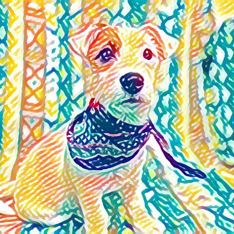 提供款式服務的專家白髮大叔