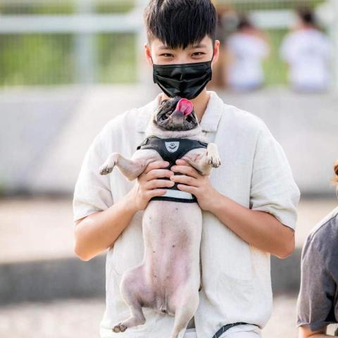 提供遛狗繫狗鍊服務的專家Orlando