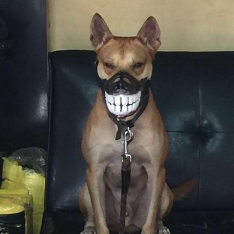 提供店到店怎麼寄服務的專家個人工作室