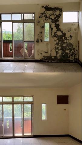 魏鴻彬 - 壁癌處理