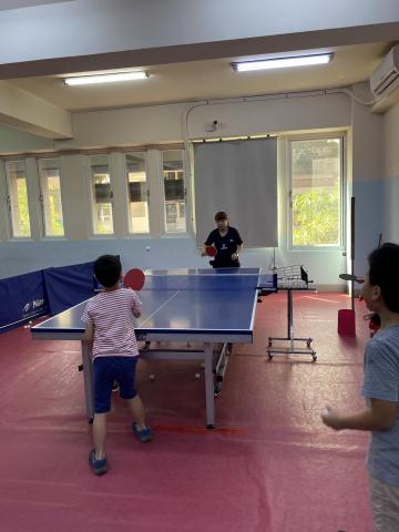 桌球專業/興趣培養 - 