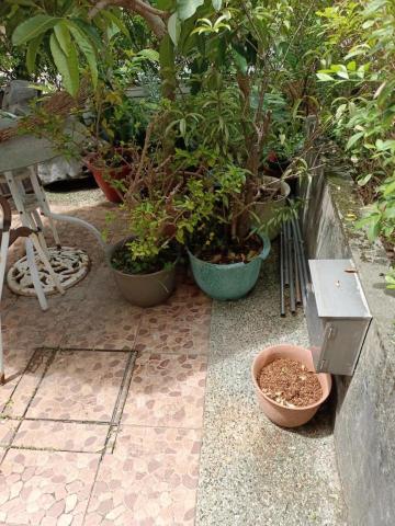 銘鋐工作室 - 吳興街頂樓盆栽搬運3 （1樓置放點）