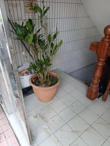 銘鋐工作室 - 吳興街頂樓盆栽搬運2