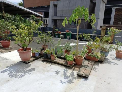 銘鋐工作室 - 吳興街頂樓盆栽搬運1