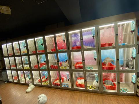 興隆室內裝修 - 寵物櫃訂製