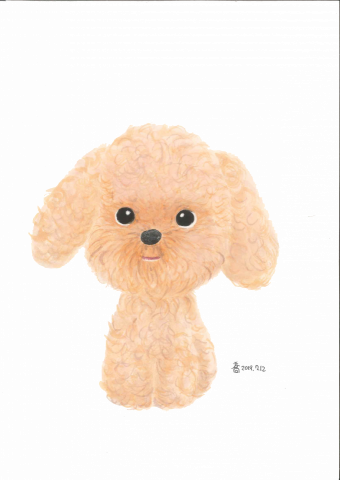 Chauhaus 喬浩思繪圖室 - 手繪動物：貴賓犬^^
媒材：水彩