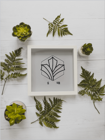 POPO Studio -  POPO Studio -