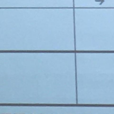 提供應徵服務的專家Adeline Chou