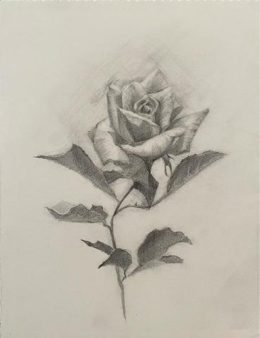 Jasmine老師 - 鉛筆素描