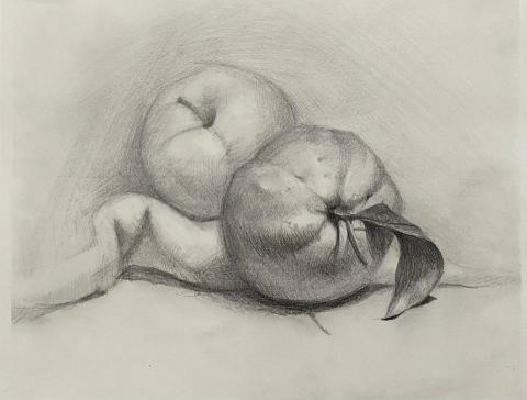 Jasmine老師 - 鉛筆素描