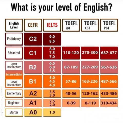 FAA AGI/IGI dabou1007 - 