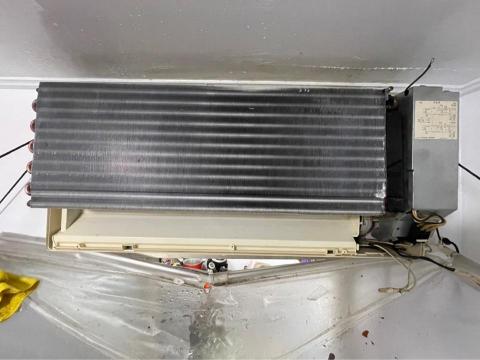 晶荷清潔 - 清洗後