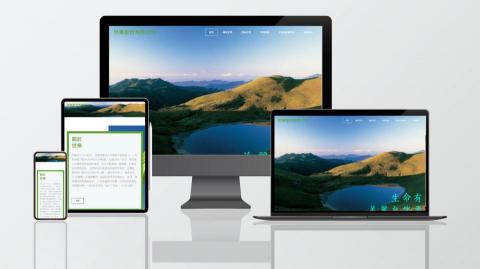樂菲數位 - 健康保養用品
服務項目：　健康保養用品
服務地區：　台灣、新加坡、馬來西亞、美國
主要色系：　綠白灰
網站：www.yes-life.com.tw