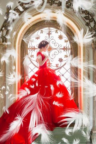 米西亞攝影工作室 - 