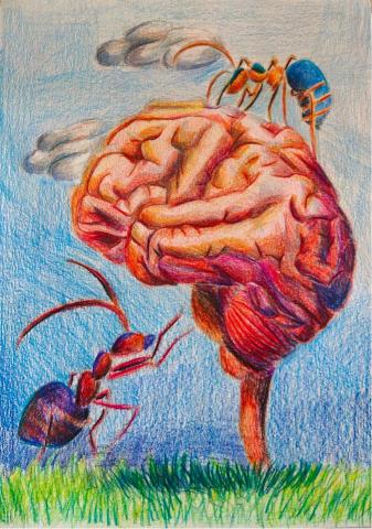 陳彥希 - 色鉛筆