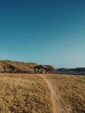 Jane - Photo shop、Lightroom、1998cam