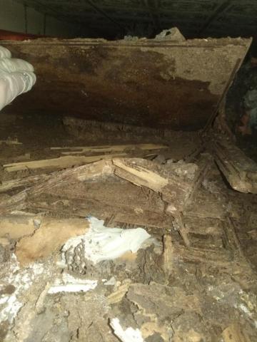 嘉澤滅鼠封堵防治工程 - 發現時衣櫃已被白蟻腐蝕,灌藥後45天到5年內保固5年。 嘉澤滅鼠封堵防治工程 - 發現時衣櫃已被白蟻腐蝕,灌藥後45天到5年內保固5年。